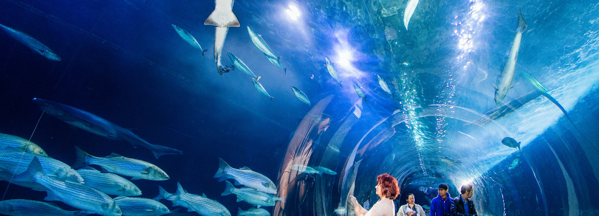 Travel Trade CityPASS