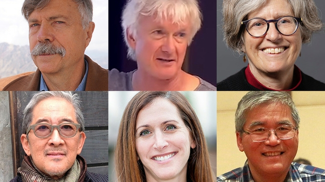 Six new fellows of American Academy of Arts & Sciences