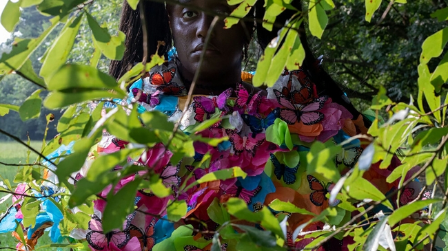 Artist Eniola Fakile asks: What if a hamburger had feelings?