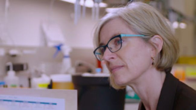 Doudna to appear at opening of CRISPR film 'Human Nature'