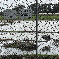 Rising groundwater threatens thousands of toxic sites in the Bay Area