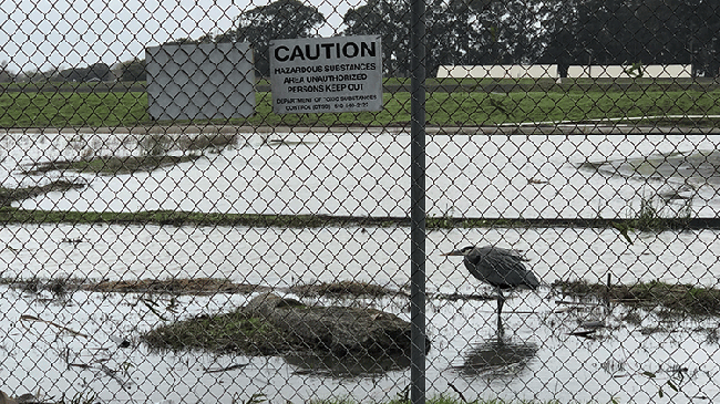 Rising groundwater threatens thousands of toxic sites in the Bay Area