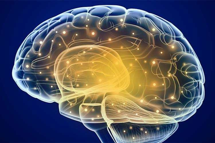 Does brain training really work? Berkeley