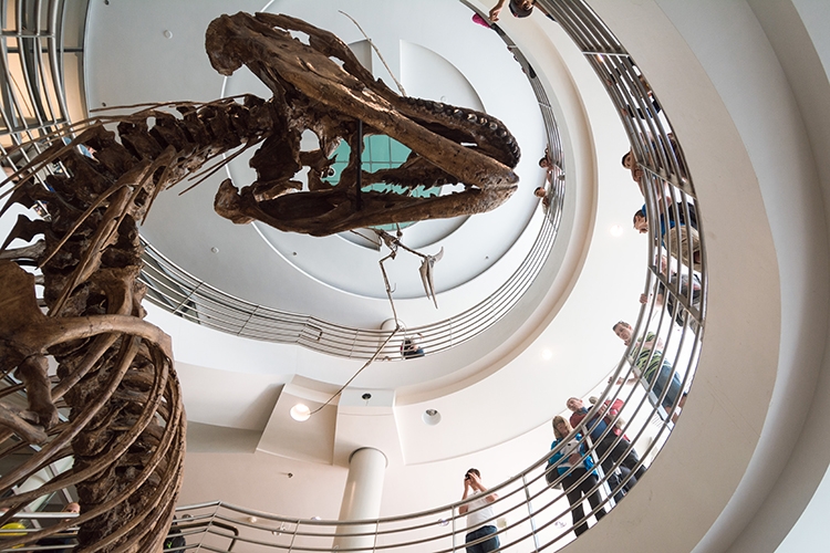 Cal Day 2016: Campus flings open its doors this Saturday | Berkeley