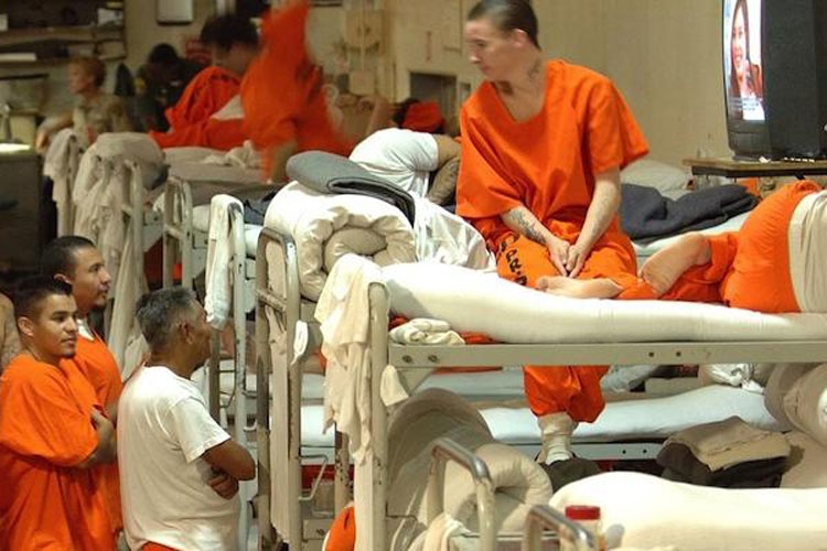 Race not a key factor in test to predict who will commit future crimes