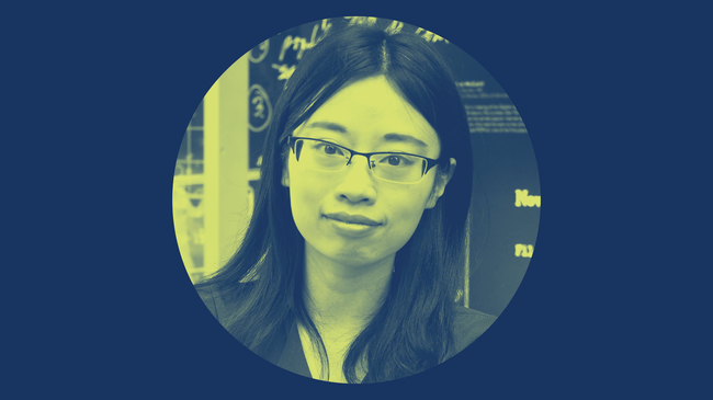 Meet our new faculty: Ying Cui, engineering