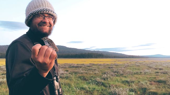 Sparrows uniquely adapted to Bay Area marshes are losing their uniqueness