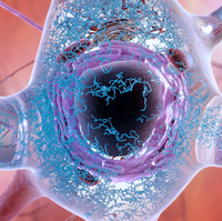 a transparent cell body shows the purple and red insides, with lots of blue worm-like squiggles