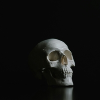 a white skull sitting set against a black background meant to illustrate the unknown history of skeletal remains used in scientific research