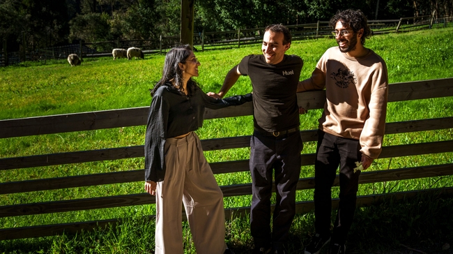 Three law students — (from left) Krishna Desai, Abraham Brauner and Taj Uppal — stand against a wooden fence, as sheep graze in a sunlit field behind them. 