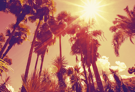 adapting-for-climate-average-temperature