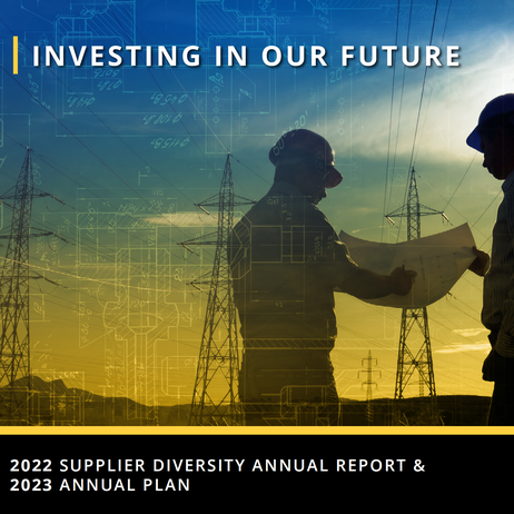 sce-supplier-diversity-annual-report-plan