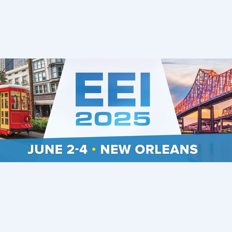 EEI202501