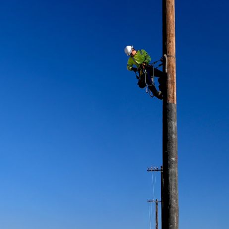 2024-sustainability-report-hero3