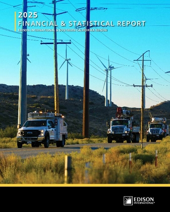 2025-financial-statistical-report