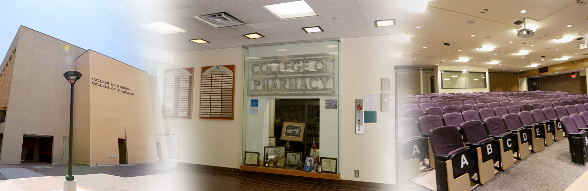 Unm School Of Pharmacy University Of New Mexico Health And Health