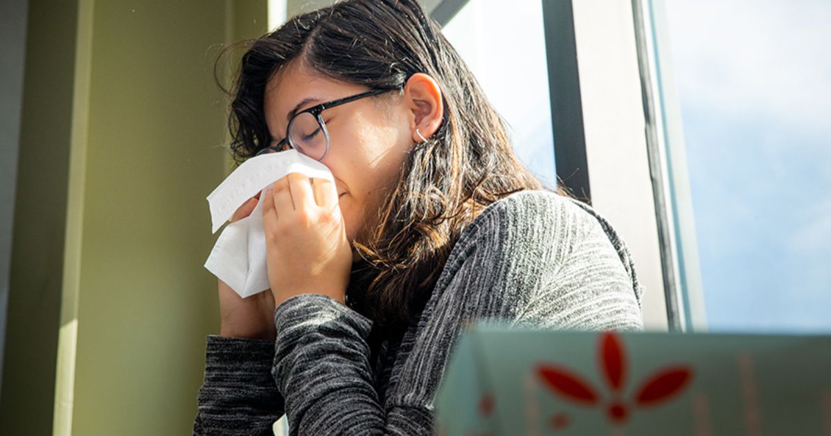 New Mexico Faces Allergy Crisis: Experts Urge Action