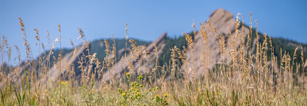 Update Boulder County Sheriff S Office Completes Marshall Fire