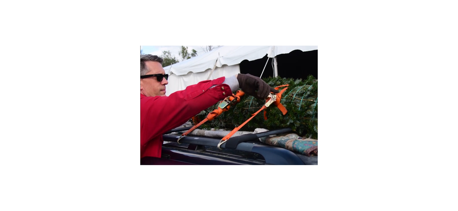 Auto Club Offers Tips to Safely Transport Your Christmas Trees Home