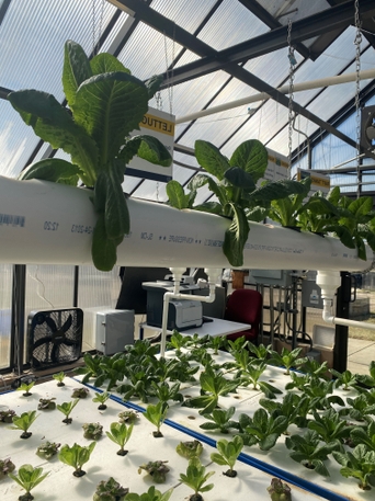 JCSU’s Sustainability Plans will Prosper with Aquaponics Greenhouses from Blue Cross NC JCSU’s Sustainability Plans will Prosper with Aquaponics Greenhouses from Blue Cross NC