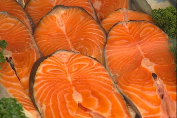 Fish - Salmon