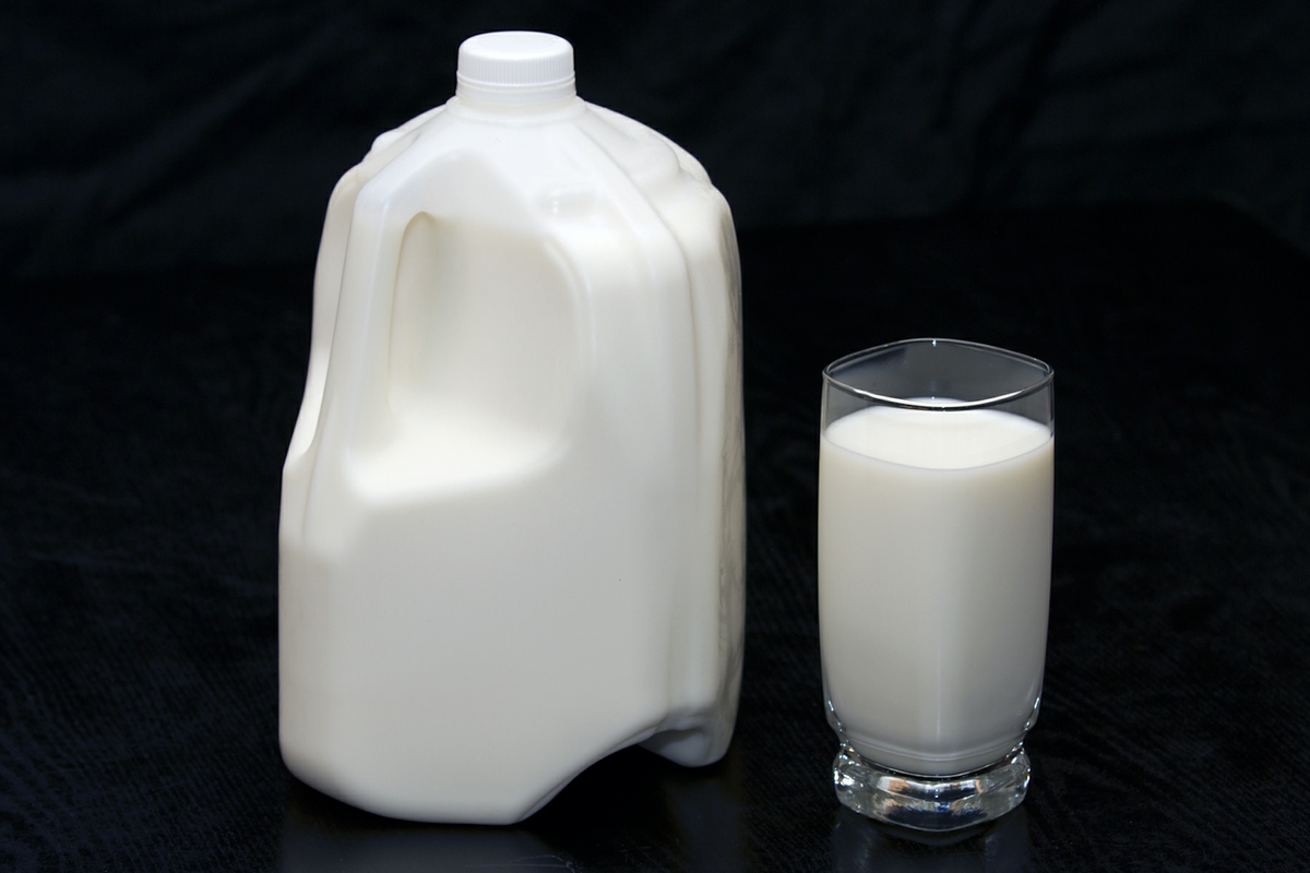 Milk LowFat in glass with full jug horizontal from above