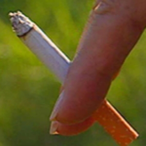 Researchers identify evidence-based public health interventions for policy makers