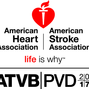 ATVB PVD 17-V