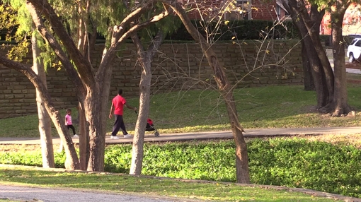 Green space, people in nature 