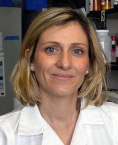Chiara Giannarelli, M.D., Ph.D.