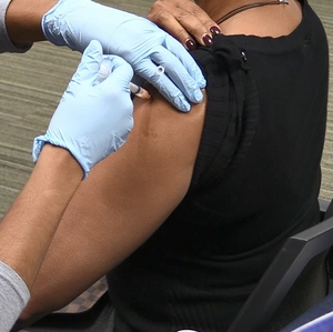 Flu Vaccine ANR - Spanish 