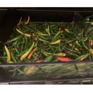 Chili peppers