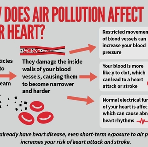 Leading cardiovascular organizations call for urgent action to reduce air pollution