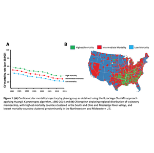 Cardiovascular Deaths by County in the U.S. 1980-2014