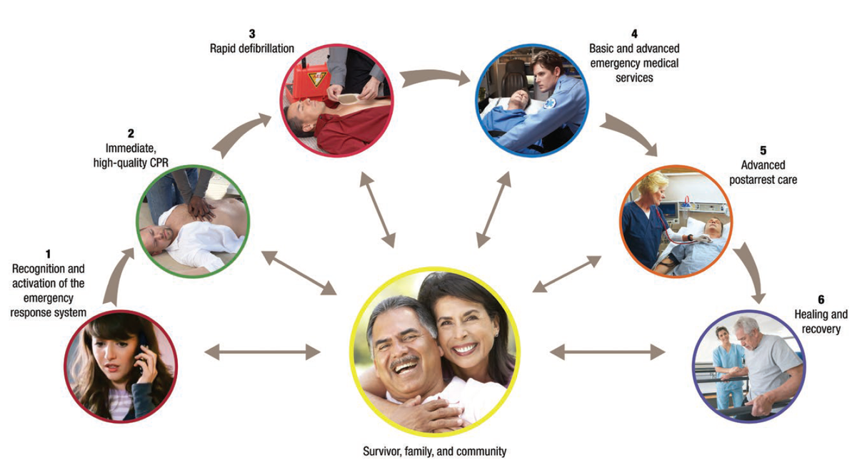 Centralized System of Care