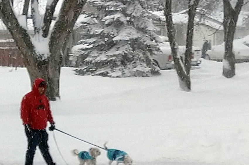 New Survey: 79% of survey respondents overlook their health needs during the holidays; find the holidays more stressful than tax season