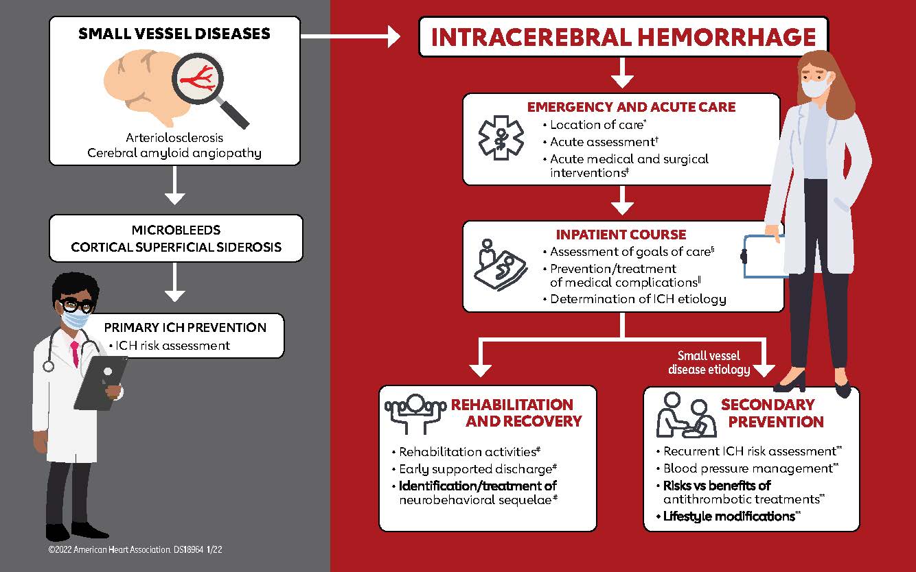New guideline refines care for brain bleeds: compression socks, some meds not effective New guideline refines care for brain bleeds: compression socks, some meds not effective