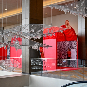 2023 Dallas Go Red for Women