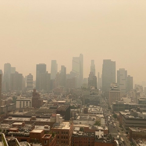 Particulate air pollution a growing risk for premature CVD death and disability worldwide 