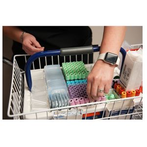 Blood samples in a lab