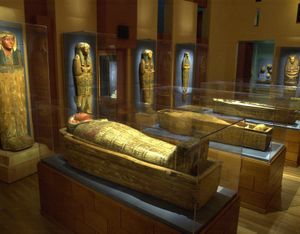 Local Spotlight: Museums You Didn’t Know About Local Spotlight: Museums You Didn’t Know About