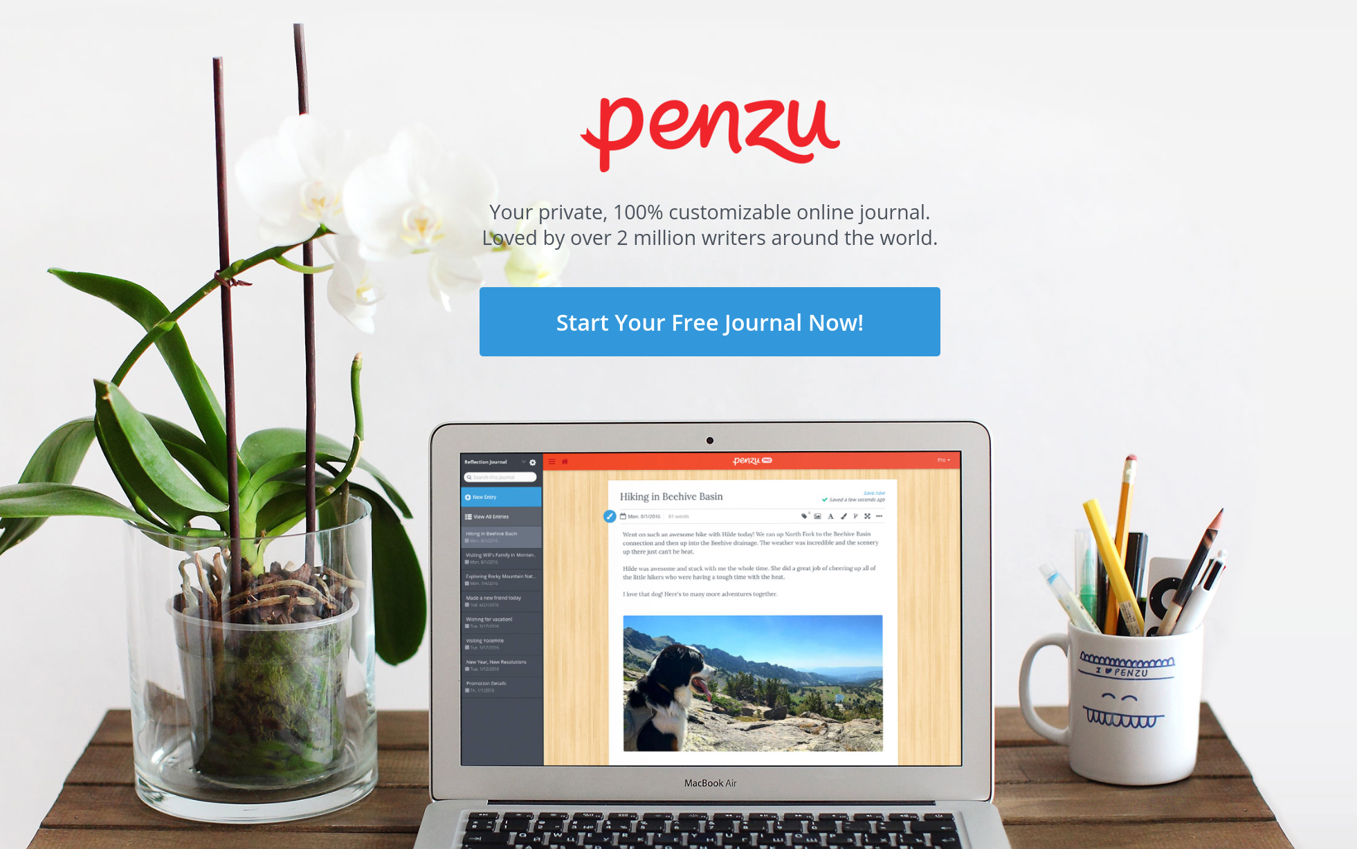 Penzu Review CMS Critic