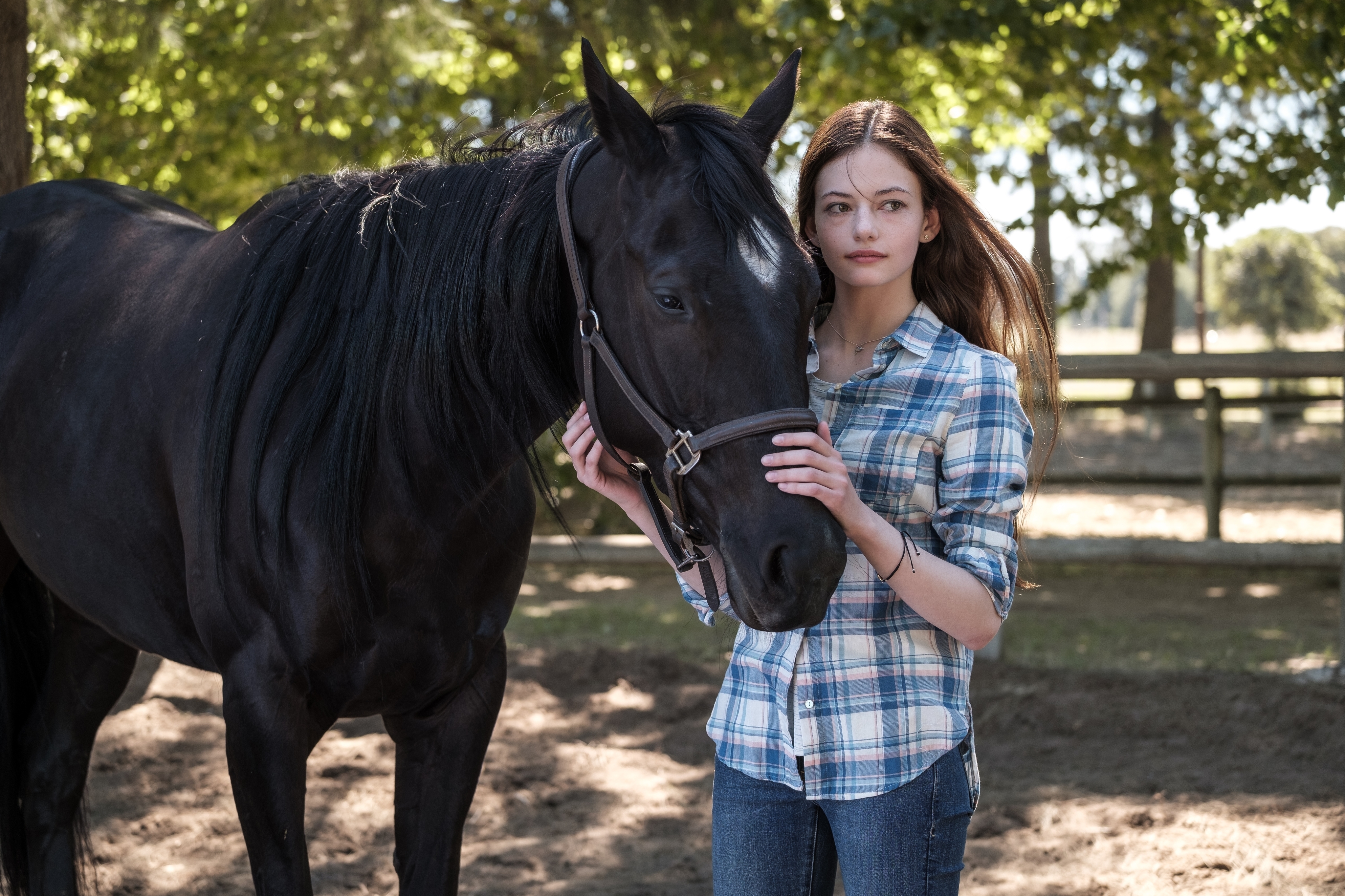 ‘Black Beauty’ reimagines the classic horse story
