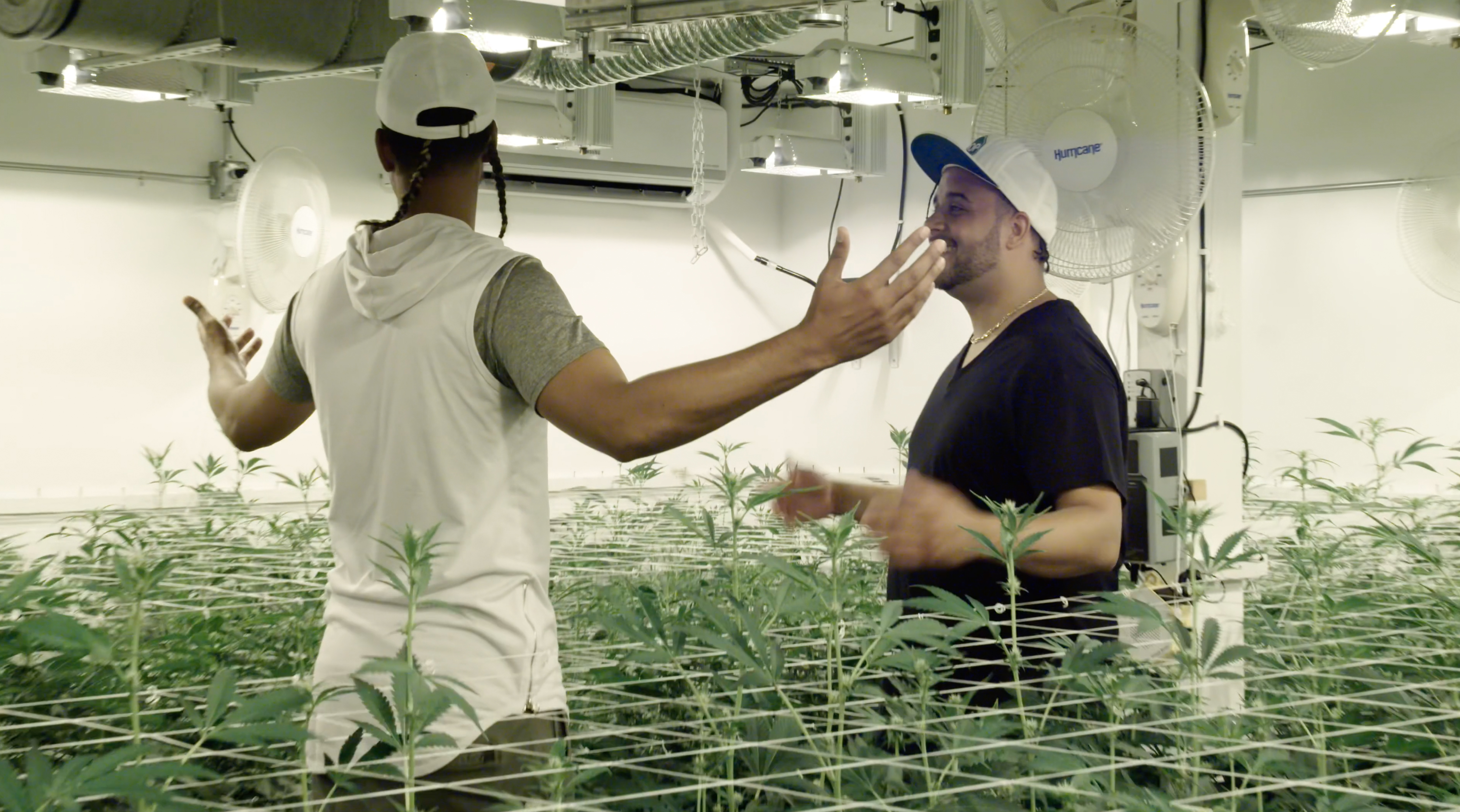 ‘The Next Marijuana Millionaire’ mixes cannabis and reality competition