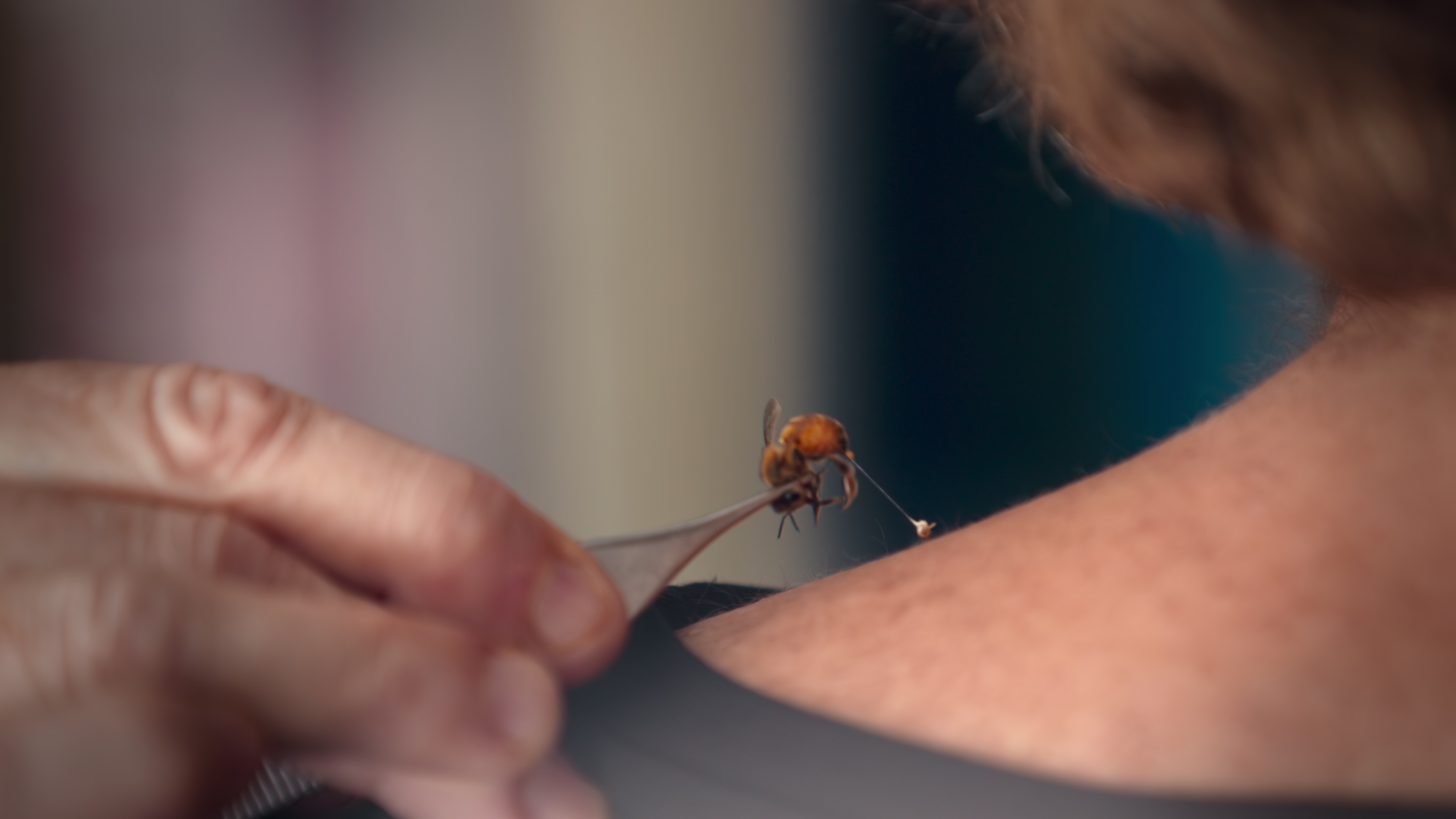 ‘(Un)Well’ offers a sense of how searching for miracle cures might be killing us
