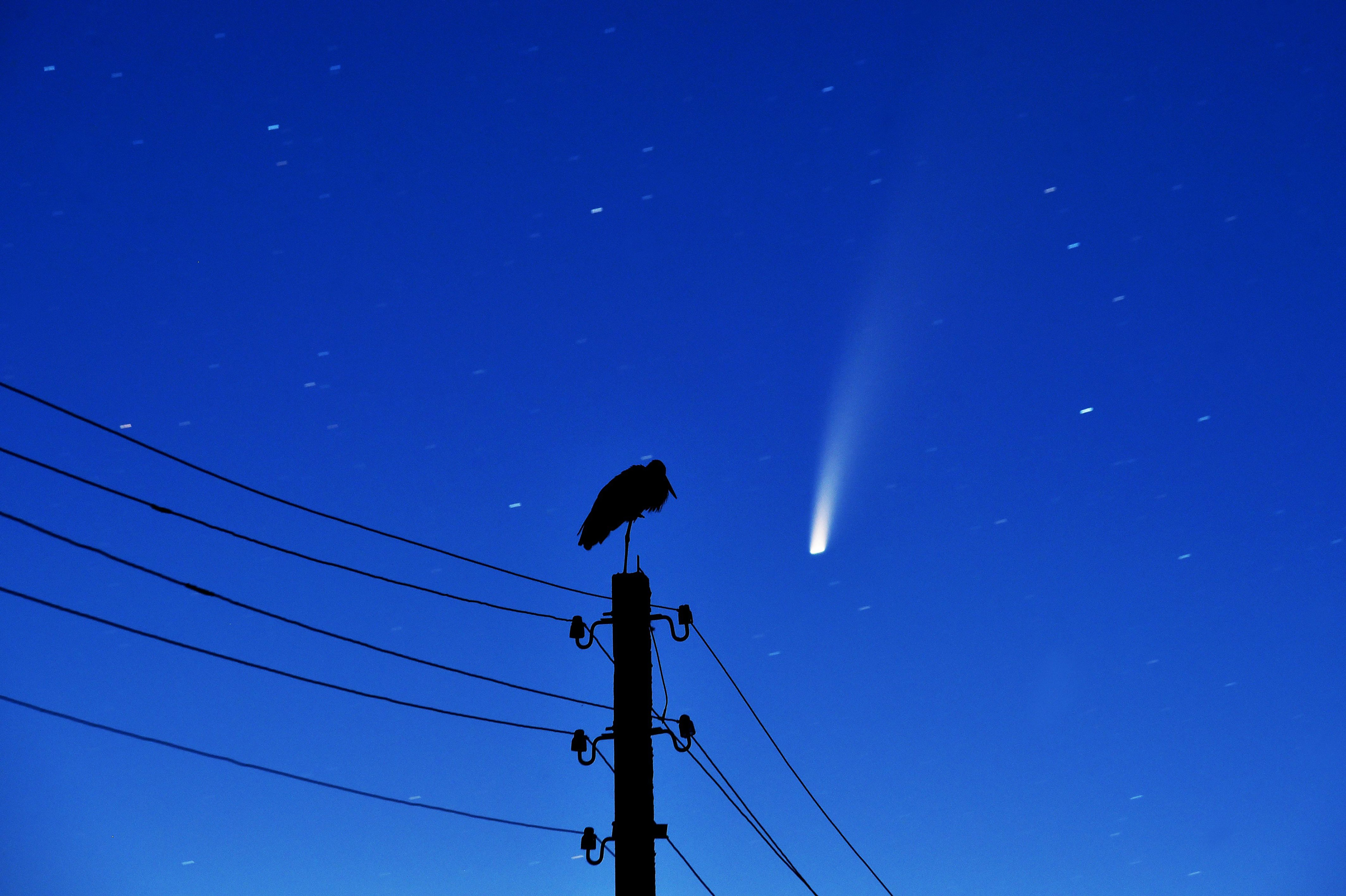 These stunning pictures captured Comet Neowise soaring through the sky. Here's how you can see it for yourself