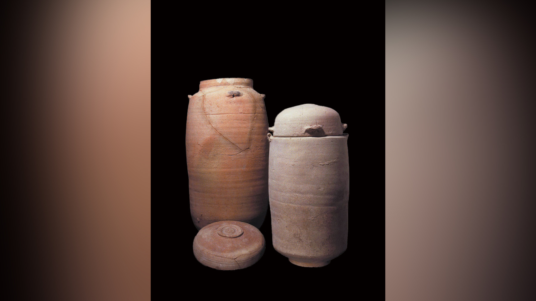 Animal DNA is helping unlock some Dead Sea Scrolls secrets