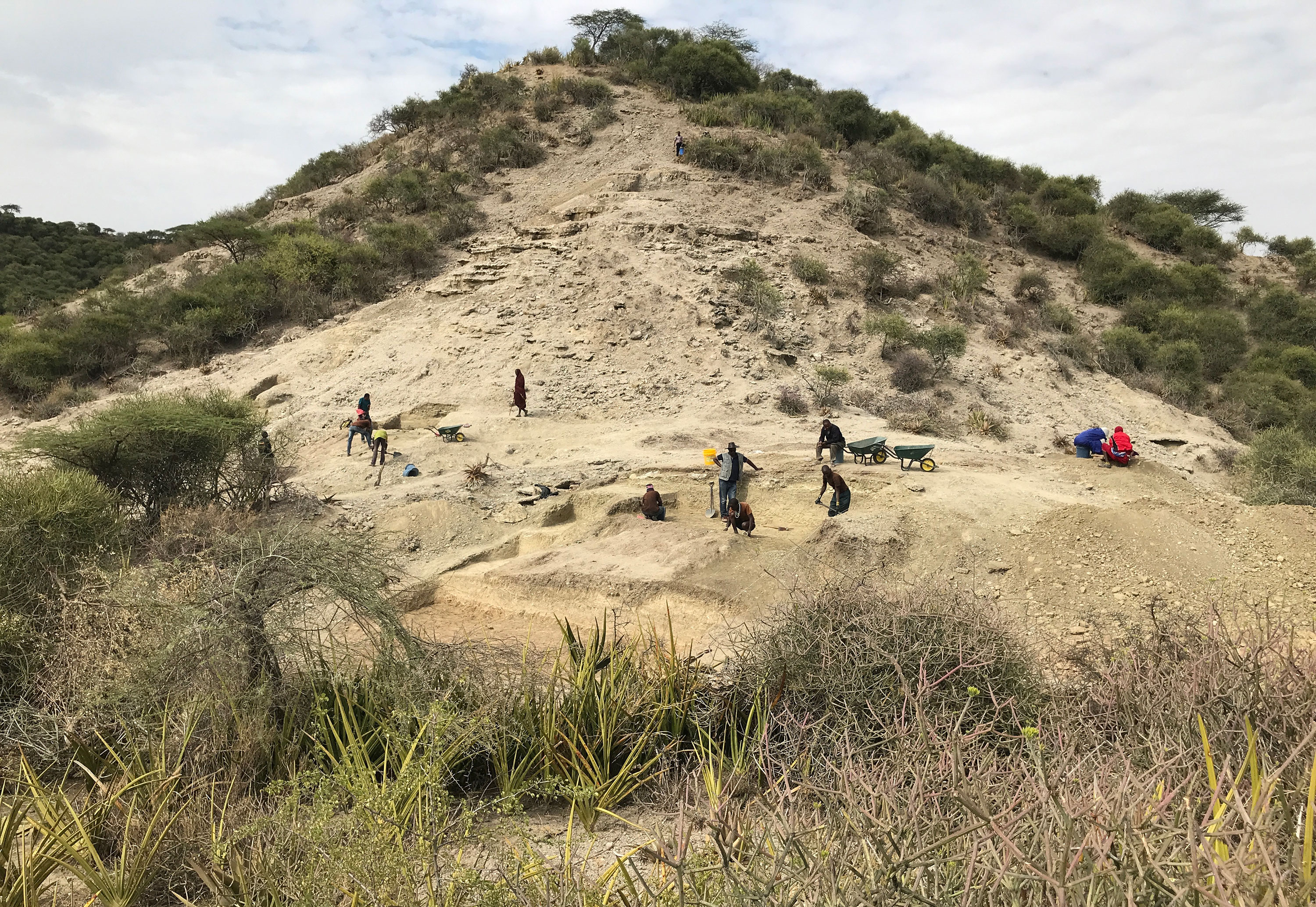 Early humans adapted to major environmental change in ‘Cradle of Mankind’ 2 million years ago
