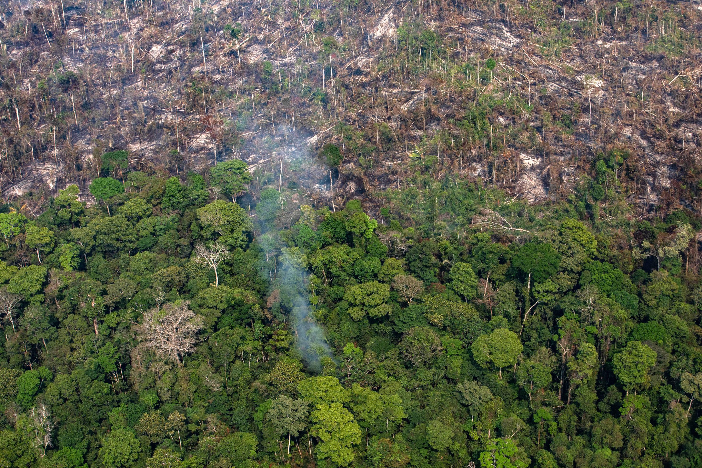 Amazon expert killed with arrow while working to protect uncontacted tribes in Brazil