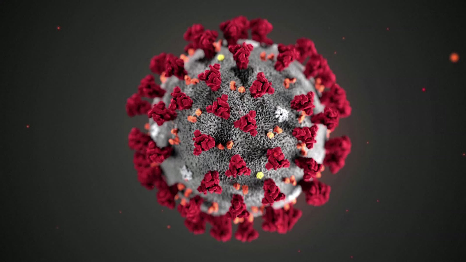 What you need to know about coronavirus on Tuesday, December 1